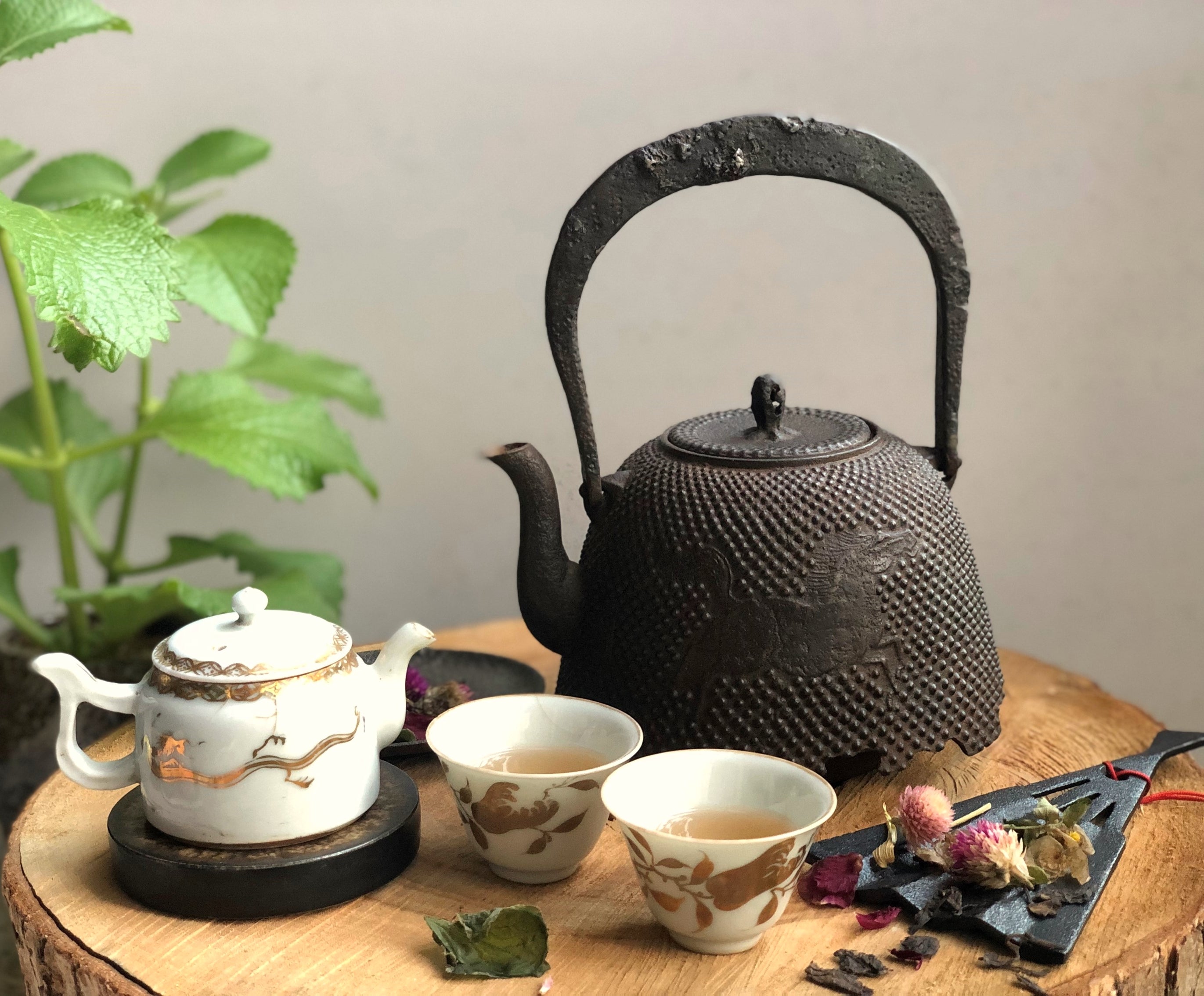 Tea Treasures 昔店