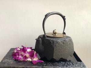 11 - Square-shaped Odare-bottom Kettle by Ryubundo龍文堂四方尾垂型鐵壺