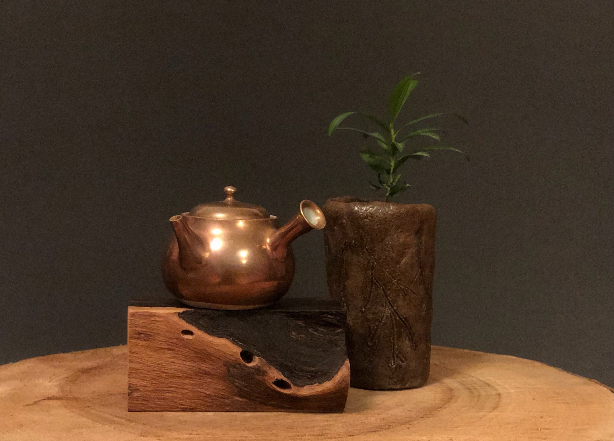 Pot-4 Gold-glazed Side-handled Tea Pot 九谷燒金釉側把壶