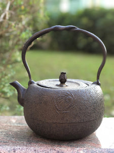 5 - Dragon Kettle by Jin Gutang 金孤堂雨龍道安型鐵瓶