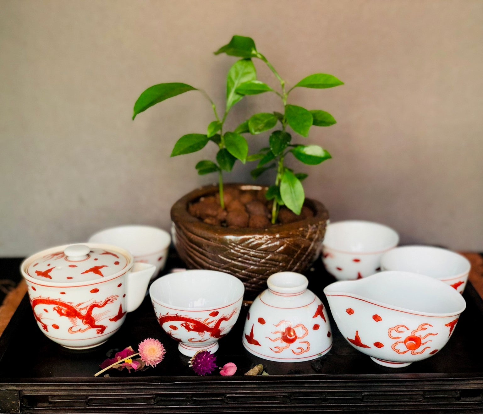 Set-5清水燒紅龍茶套裝