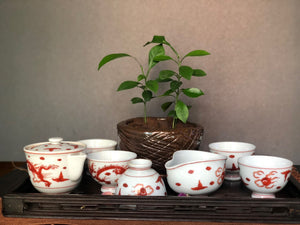 Set-5清水燒紅龍茶套裝