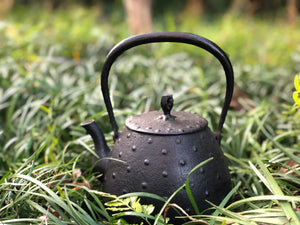 7 - Orb-shaped Floating Jade Pattern Kettle by Fujiede Kobo 藤枝工房寶珠型浮玉紋鐵瓶