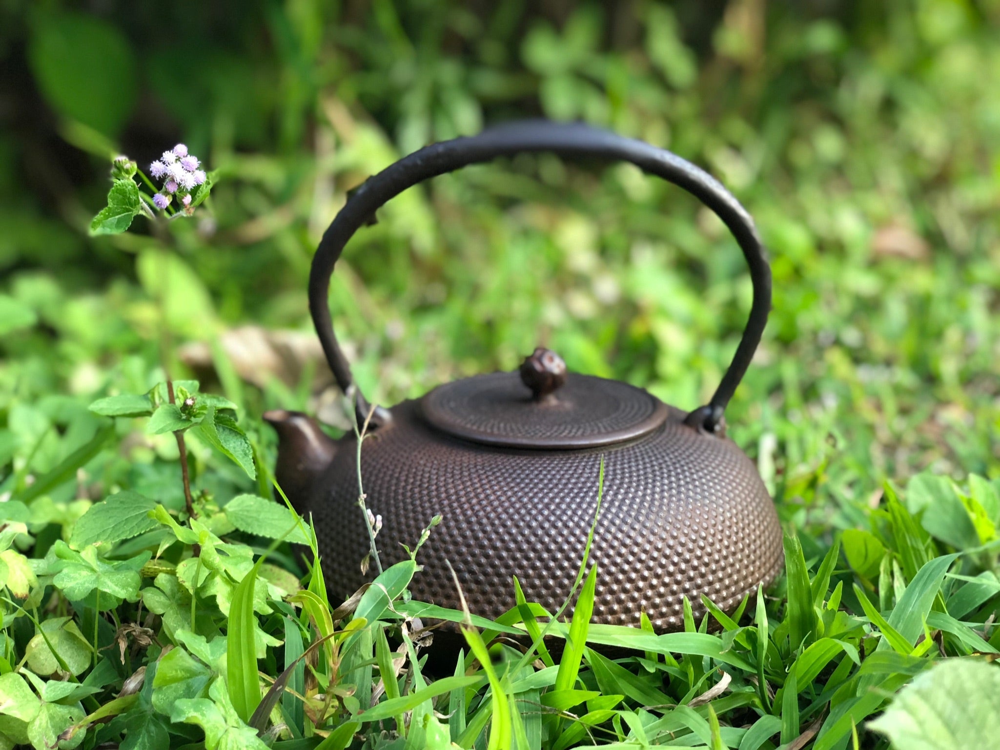 4 - Flat Round-shaped "Arare" Pattern Kettle by Baoshoudo 保壽堂小霰平丸型鐵瓶