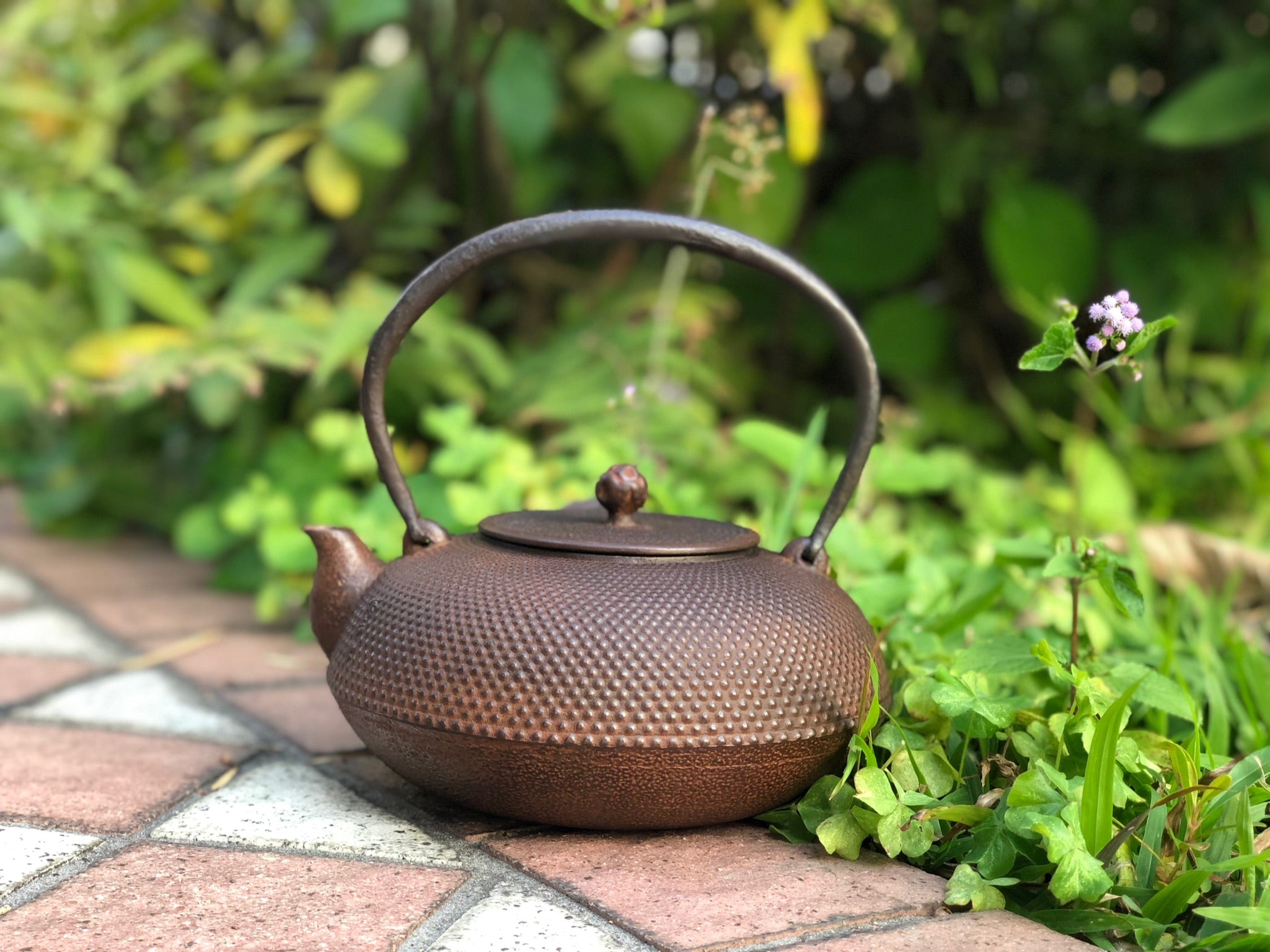 4 - Flat Round-shaped "Arare" Pattern Kettle by Baoshoudo 保壽堂小霰平丸型鐵瓶