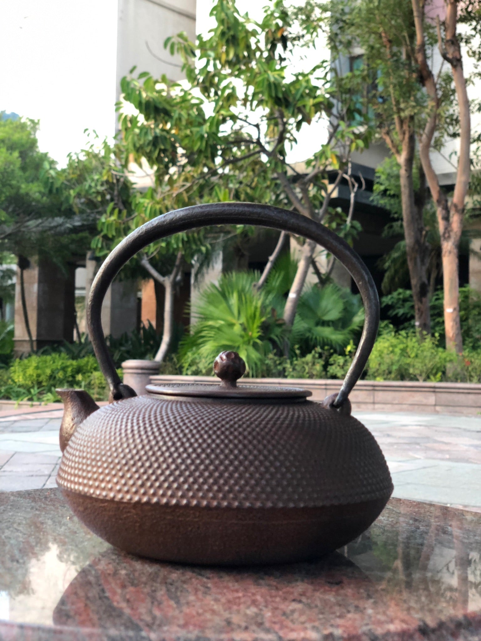 4 - Flat Round-shaped "Arare" Pattern Kettle by Baoshoudo 保壽堂小霰平丸型鐵瓶