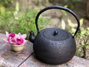 2 - Cottage Flat Round-shaped Kettle by Tenyudo  天祐堂茅舍平丸型鐵瓶