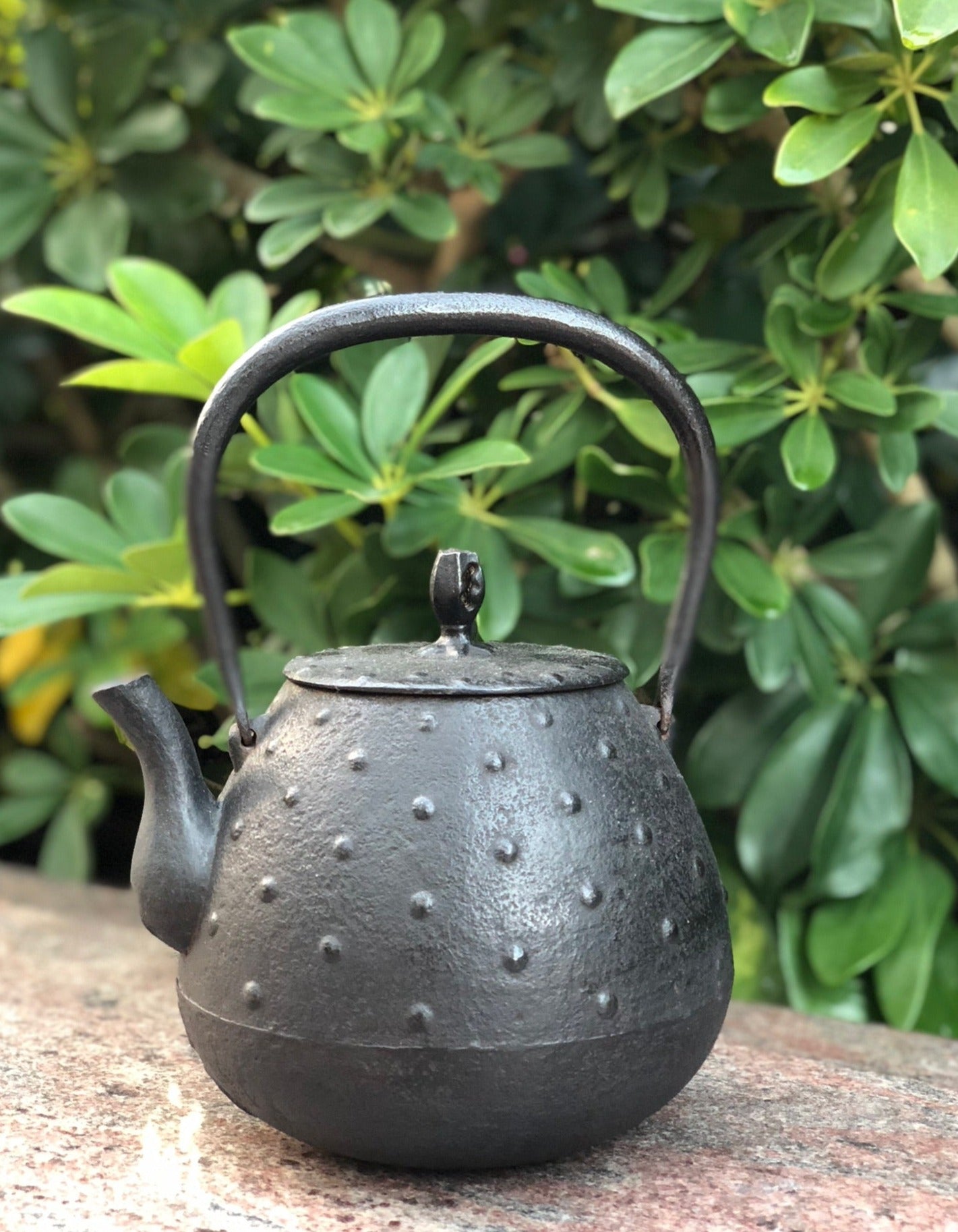 7 - Orb-shaped Floating Jade Pattern Kettle by Fujiede Kobo 藤枝工房寶珠型浮玉紋鐵瓶