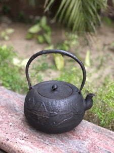 2 - Cottage Flat Round-shaped Kettle by Tenyudo  天祐堂茅舍平丸型鐵瓶